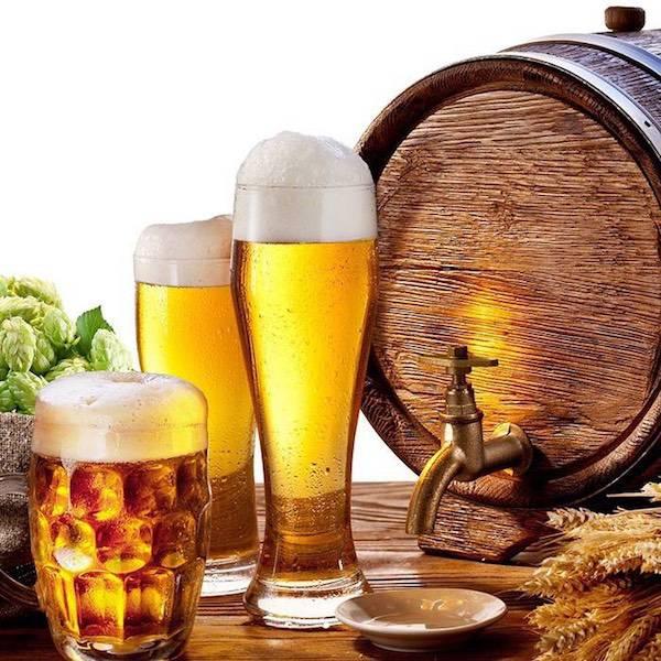 La cerveza y sus grandes beneficios en nuestro cuerpo.