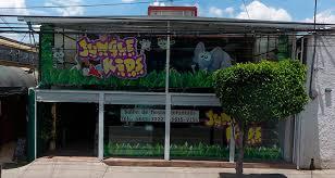 Jungle Kids Insurgentes Mixcoac - Salón de Fiestas Infantiles en todo México