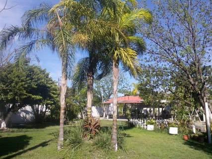 Kynta Sanfrancisco - Carne asada en Monterrey - Nuevo León