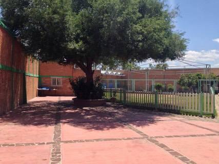 Las Margaritas - Carne asada en San Luis Potosí