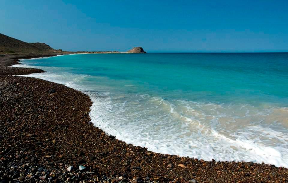 Cabo Pulmo, Baja California Sur