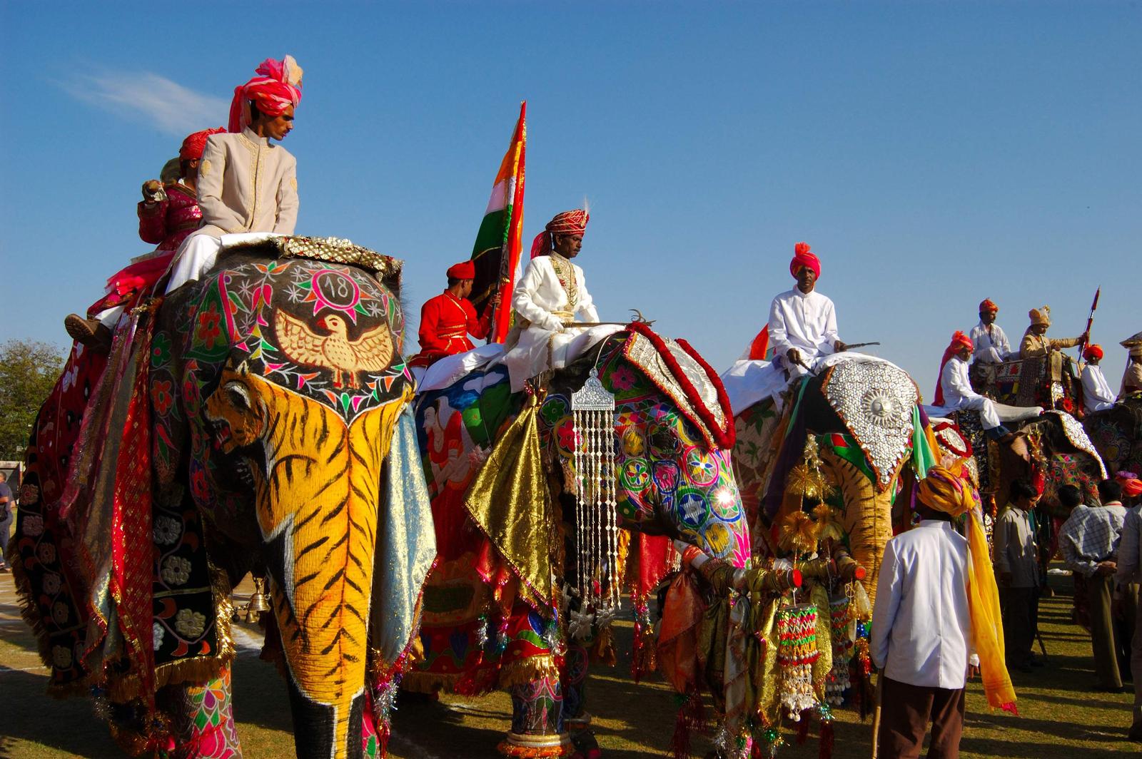 Festival de Elefantes de Jaipur (La India)