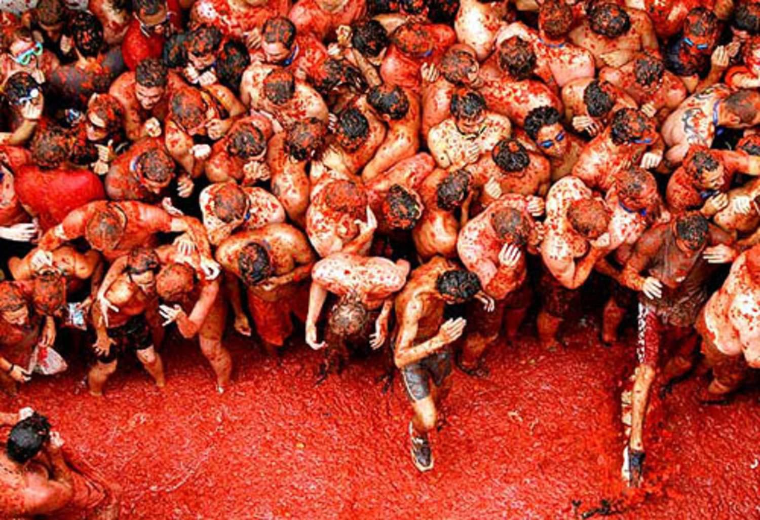 La Tomatina (España)